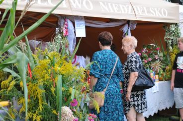 Dobra zabawa na dożynkach gminy Wieluń